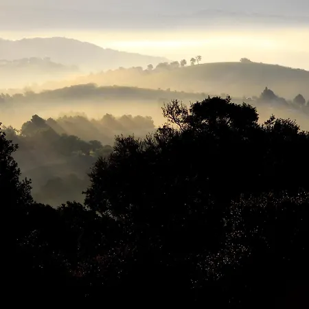 Vakantieboerderij Belvedere Di Pierini E Brugi