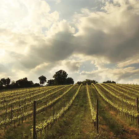 Belvedere Di Pierini E Brugi Vakantieboerderij Campagnatico