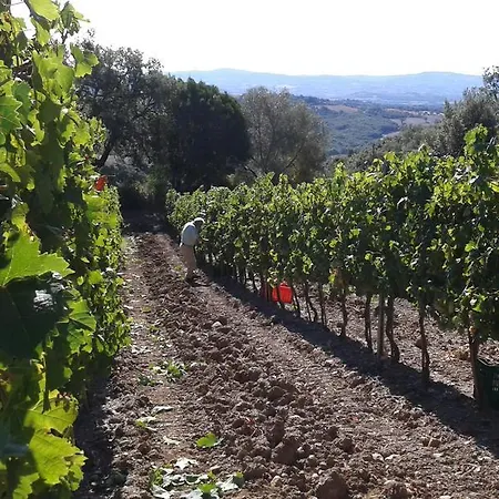 Farm stay Belvedere Di Pierini E Brugi Campagnatico