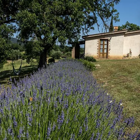 Belvedere Di Pierini E Brugi Séjour à la ferme