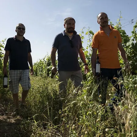 Belvedere Di Pierini E Brugi Farm stay